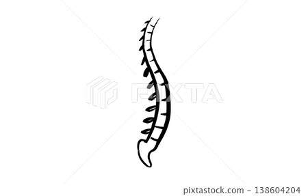 Backbone sketch poster Backbone sketch poster 138604204