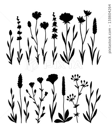 Floral pattern, wildflowers bundle Floral pattern, wildflowers bundle 138604264