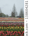 Landscape with tulips and windmills 138604281