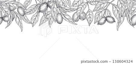 Ripening walnuts with leaves on branch monochrome vector isolated horizontal border. Twigs, whole walnut in green husk, foliage illustration for autumn cards, restaurant menu, harvest festival flyer Ripening walnuts with leaves on branch monochrome vector isolated horizontal border. Twigs, whole walnut in green husk, foliage illustration for autumn cards, restaurant menu, harvest festival flyer 138604324