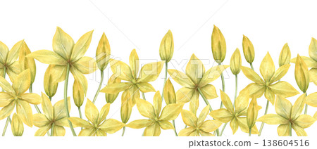 Watercolor wild yellow tulips seamless banner on isolated background. Hand painted blooming tulip flowers horizontal repeating pattern. Floral ornate for website headers, social media cover images 138604516