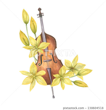 Watercolor brown cello or double bass with yellow tulips illustration on isolated background. Musical string instrument and bright flowers composition. Music and nature for concert posters, festival Watercolor brown cello or double bass with yellow tulips illustration on isolated background. Musical string instrument and bright flowers composition. Music and nature for concert posters, festival 138604518