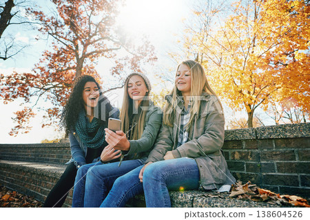 Phone meme, funny or friends in park with smile together for holiday vacation outdoors on social media. Happy people, gossip or gen z girls in nature talking, speaking or laughing at a comedy joke 138604526