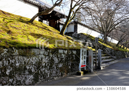 Enjoy the charming garden at the main gate of Manshuin Monzeki Temple. 138604586