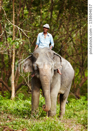 Travel, portrait and man with elephant in forest for wildlife, conservation and animal rescue. Sanctuary, tropical and person in environment, natural ecosystem and outdoors in Thailand for tourism 138604657