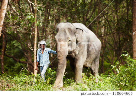 Indian, man and trainer walking with elephant in the forest for wildlife, animal rescue and outdoor. Sanctuary, india and person in nature for transportation, adventure or conservation in the jungle 138604665