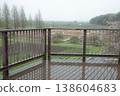 A rainy day overlooking a tulip field 138604683