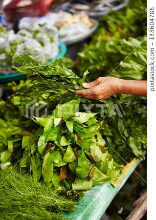 Person hands, vegetables market and herbs for shopping, healthy food choice and discount, sale or groceries at local store. Customer with basil, green plants or leaves for commerce and small business Person hands, vegetables market and herbs for shopping, healthy food choice and discount, sale or groceries at local store. Customer with basil, green plants or leaves for commerce and small business 138604788