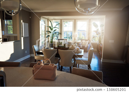 Home interior, elegant living room and modern house with chairs, plants and carpet in space. Clean, minimal and luxury furniture in an organised open lounge in a cozy, stylish and neutral apartment. 138605201