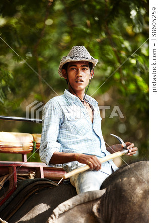 Indian, man and portrait of trainer riding on back of elephant for wildlife, animal rescue and outdoor. Sanctuary, face and person in nature for transportation, adventure or conservation in forest Indian, man and portrait of trainer riding on back of elephant for wildlife, animal rescue and outdoor. Sanctuary, face and person in nature for transportation, adventure or conservation in forest 138605259