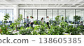 Photo of a modern open office space with indoor plants and blurred people walking, promoting a healthy and productive work environment. 138605385
