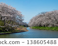 一排盛開的櫻花樹，倒映在藍天和水面上。 138605488