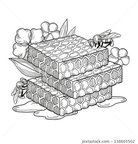 Hand-drawn graphic detailed composition with honeycombs and bees and field wild flowers isolated on white background for packaging Hand-drawn graphic detailed composition with honeycombs and bees and field wild flowers isolated on white background for packaging 138605502