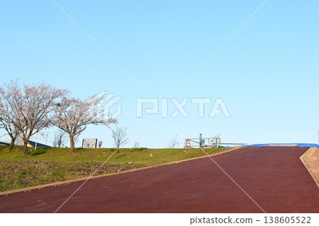 宮川堤岸：河岸與櫻花 138605522