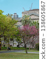 Taipei 228 Peace Park with Spring Flowers in Taiwan 138605867