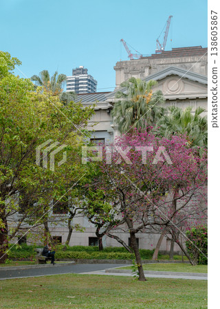 Taipei 228 Peace Park with Spring Flowers in Taiwan 138605867