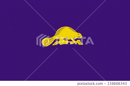 Flag of Oregon state reverse side on fabric surface. Oregon state flag Flag of Oregon state reverse side on fabric surface. Oregon state flag 138606343