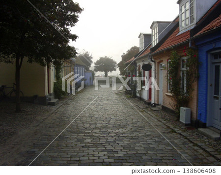 Cottage, cobblestone street and village, travel and neighborhood in Denmark with landscape or background. Traditional, town and tourism with road, property or houses, architecture and countryside 138606408