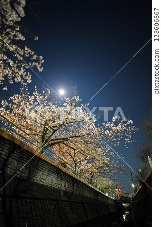 Nagoya, with cherry blossoms in full bloom at night, offers a view of the pink moon from the surface of the Gōshita River. 138606867