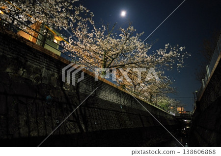Nagoya, with cherry blossoms in full bloom at night, offers a view of the pink moon from the surface of the Gōshita River. Nagoya, with cherry blossoms in full bloom at night, offers a view of the pink moon from the surface of the Gōshita River. 138606868