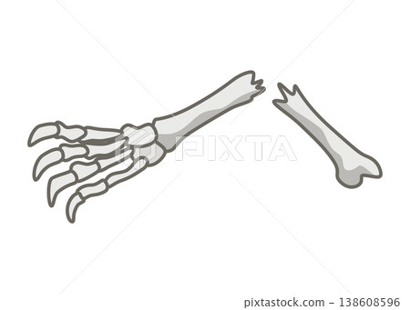 Dinosaurs skeletons parts underground. Fossils, bones of prehistoric reptiles and ammonites 138608596