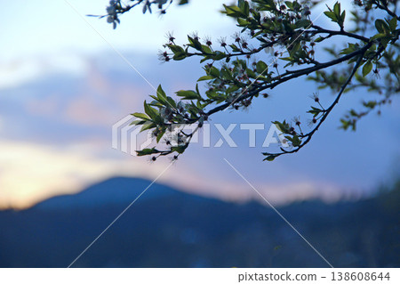 Heavenly landscape with pink clouds on purple sky during sunset. Twilight sunset Heavenly landscape with pink clouds on purple sky during sunset. Twilight sunset 138608644