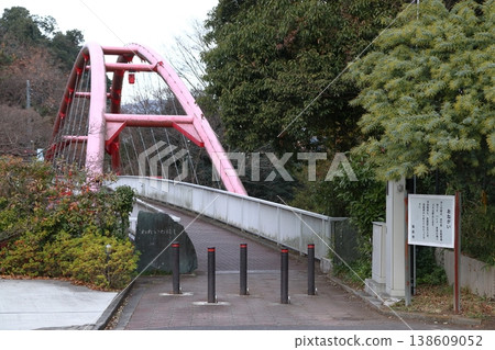 Late autumn at Hannō Riverbank: Wariwa Bridge (Hannō City, Saitama Prefecture) 138609052