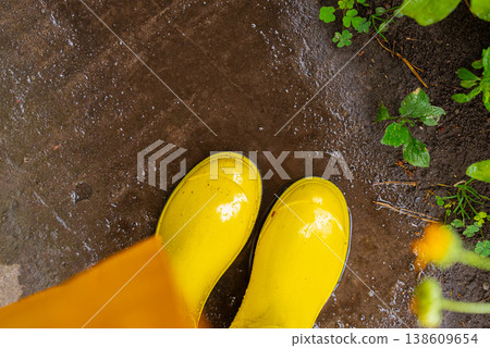 Top view of yellow rubber boots during rainy weather. Concept for spring and summer rain days. Copy space for text. Gardening tools Top view of yellow rubber boots during rainy weather. Concept for spring and summer rain days. Copy space for text. Gardening tools 138609654