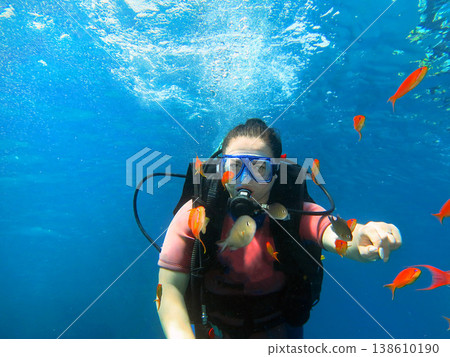 Scuba diver exploring underwater surrounded by tropical fish 138610190