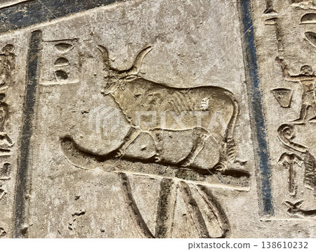 Beautiful bas-reliefs and ancient hieroglyphs from the Dendera Temple Complex, Qena, Egypt Beautiful bas-reliefs and ancient hieroglyphs from the Dendera Temple Complex, Qena, Egypt 138610232