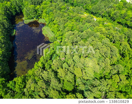 Scenic landscape of woodland. Aerial view of lake in the forest. Aerial view green forest and lake landscape in spring. Nature aerial view. Landscape of green forest. Summer forest. Amazon rainforest Scenic landscape of woodland. Aerial view of lake in the forest. Aerial view green forest and lake landscape in spring. Nature aerial view. Landscape of green forest. Summer forest. Amazon rainforest 138610829