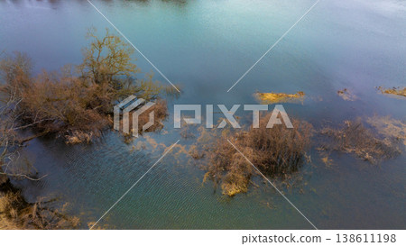 Aerial view of a serene lake with trees and vegetation floating on the waters surface in shades of brown and blue 138611198