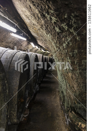 Wine barrels aging in historical Znojmo underground cellar Wine barrels aging in historical Znojmo underground cellar 138611662
