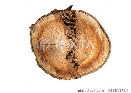 Isolated Cross Section of a Natural Tree Trunk with Visible Annual Rings 138611714