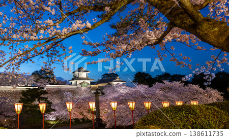 金澤城夜景櫻花:石川門與藍色暮色中燈光照耀下的櫻花。 金澤城夜景櫻花:石川門與藍色暮色中燈光照耀下的櫻花。 138611735