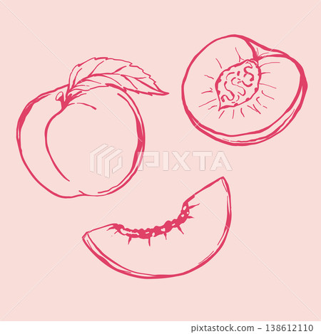 Summer sweet peach sketchy illustration. Whole fruit with leaf and slice. Handdrawn vector lineart. Summer sweet peach sketchy illustration. Whole fruit with leaf and slice. Handdrawn vector lineart. 138612110