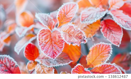 frosty autumn leaves with a layer of ice crystals, highlighting the transition from fall to winter 138612487