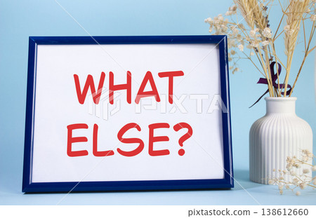 What else symbol. Concept words What else on beautiful wooden picture frame. Beautiful light blue background with flower vase. Business and What else concept. Copy space. What else symbol. Concept words What else on beautiful wooden picture frame. Beautiful light blue background with flower vase. Business and What else concept. Copy space. 138612660
