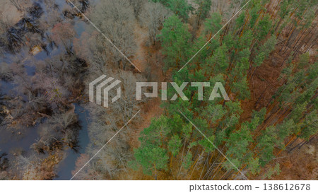 Aerial view of a forest with a stream running through it, showing a mix of green and bare trees Aerial view of a forest with a stream running through it, showing a mix of green and bare trees 138612678