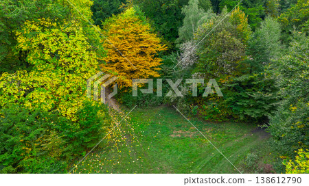 Vibrant autumn forest canopy with a winding path and sunlit clearing Vibrant autumn forest canopy with a winding path and sunlit clearing 138612790