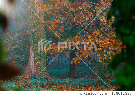 colorful green orange autumn atmospheric landscape wood land vibrant October month colors sun shine dramatic light 138612853