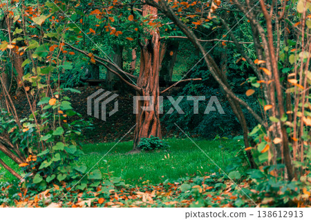 Vibrant autumn forest scene with a striking tree and lush green grass 138612913