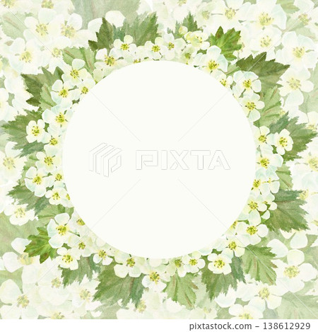A square frame with white hawthorn flowers and leaves, hand-drawn watercolor illustration on an isolated background. Simple spring clip art with space for text, decoration, and design. A square frame with white hawthorn flowers and leaves, hand-drawn watercolor illustration on an isolated background. Simple spring clip art with space for text, decoration, and design. 138612929