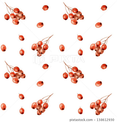 Seamless pattern of red barberry or rowan berries . Hand-drawn watercolor illustration on an isolated background. Clip art for textiles, wrapping paper, and design. Seamless pattern of red barberry or rowan berries . Hand-drawn watercolor illustration on an isolated background. Clip art for textiles, wrapping paper, and design. 138612930