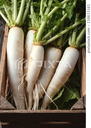 Fresh daikon radish in wooden crate Fresh daikon radish in wooden crate 138613161
