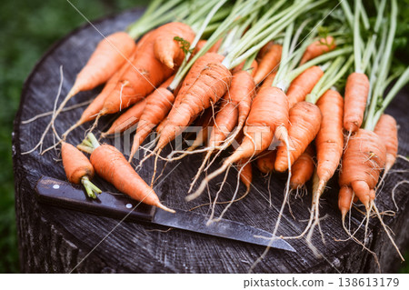 Organic carrot bunch with green tops Organic carrot bunch with green tops 138613179