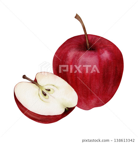 Watercolor red apple with half slice showing seeds, hand painted realistic fruit composition isolated on white background for food design, packaging, kitchen decor and healthy lifestyle projects Watercolor red apple with half slice showing seeds, hand painted realistic fruit composition isolated on white background for food design, packaging, kitchen decor and healthy lifestyle projects 138613342