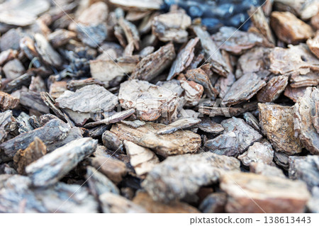 Close-up Texture of Natural Pine Bark Mulch for Garden Landscaping Close-up Texture of Natural Pine Bark Mulch for Garden Landscaping 138613443