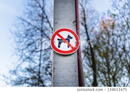No Dogs Allowed Sign Mounted on a Utility Pole in a Public Park No Dogs Allowed Sign Mounted on a Utility Pole in a Public Park 138613475