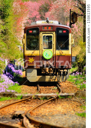 Peach blossoms and cherry blossoms along the railway line... At Kobe Station on the Watarase Keikoku Railway in spring. Peach blossoms and cherry blossoms along the railway line... At Kobe Station on the Watarase Keikoku Railway in spring. 138613595